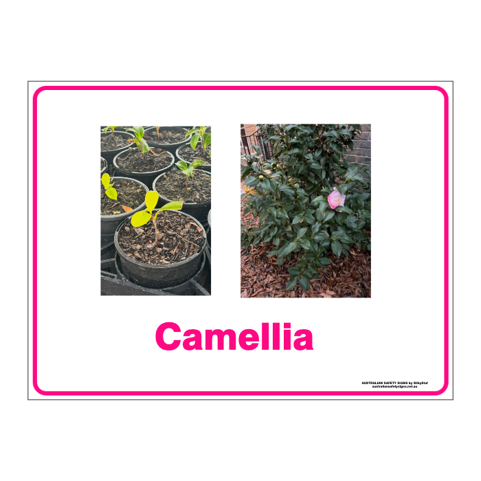 Custom general sign