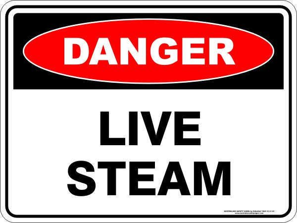 LIVE STEAM